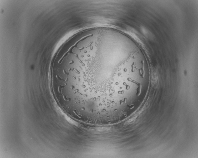 X0000068271294200604211100