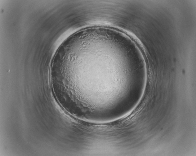 X0000068271295200604211100