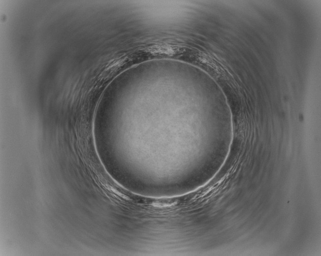 X0000068271297200604211100