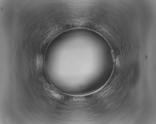 X0000068271299200604211100