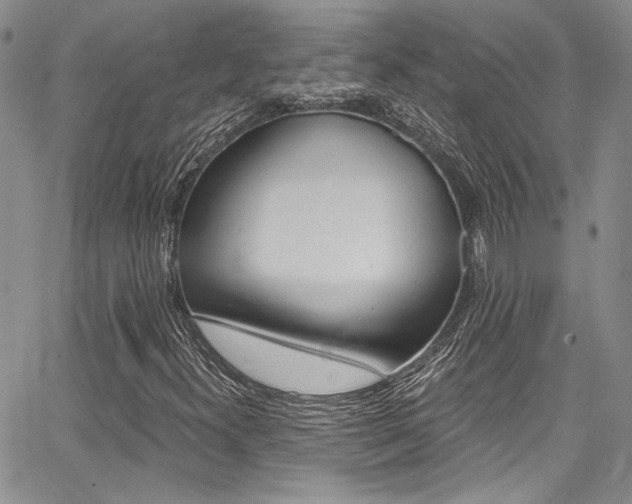 X0000068271300200604211100