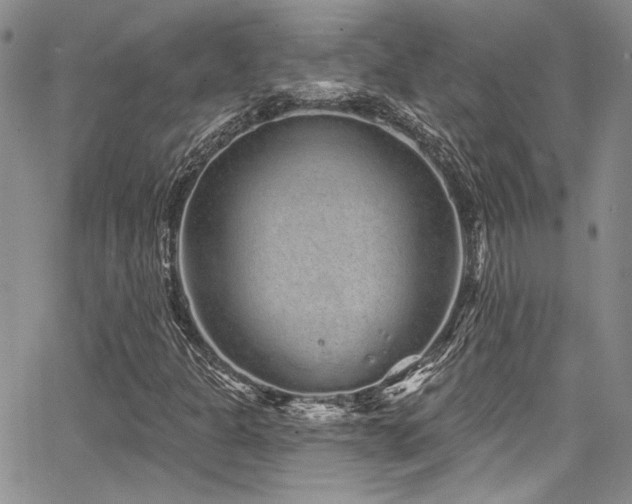 X0000068271301200604211100