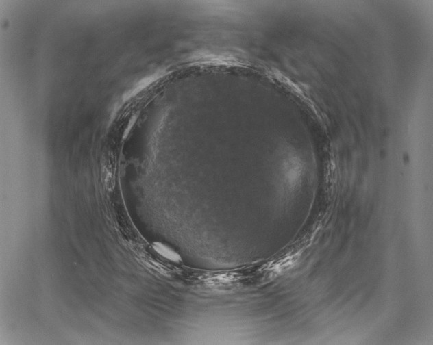 X0000068271303200604211100