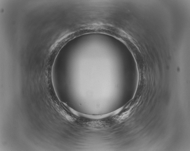 X0000068271304200604211100