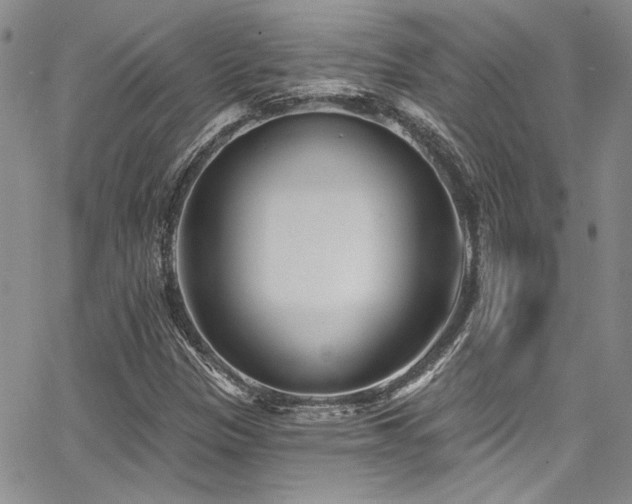 X0000068271305200604211100