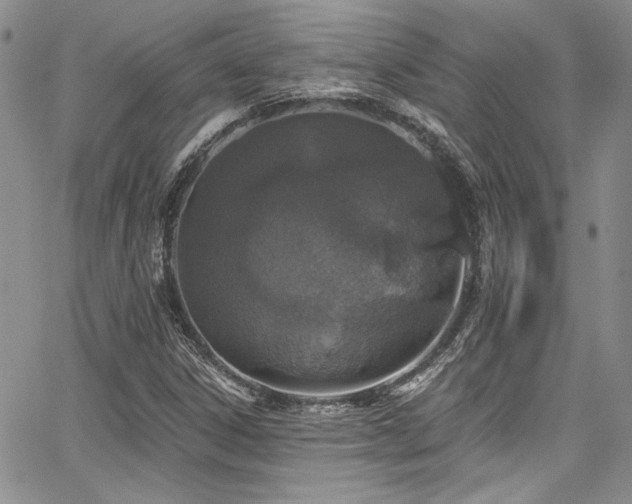 X0000068271306200604211100