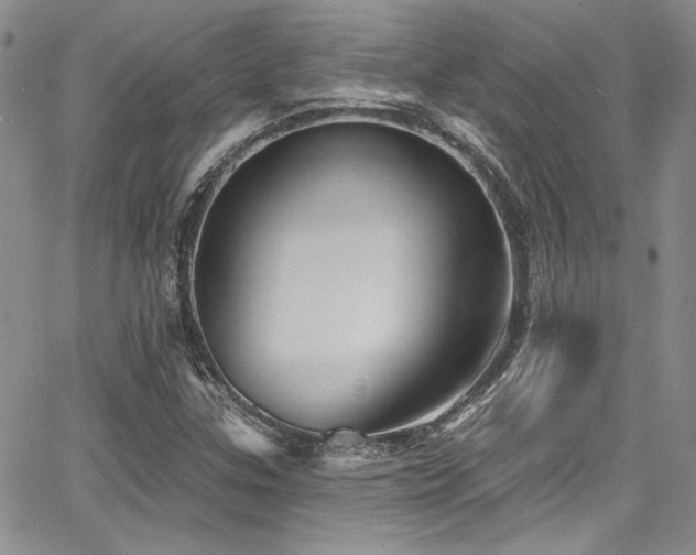 X0000068271307200604211100