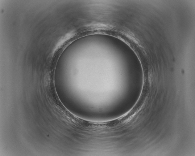 X0000068271309200604211100