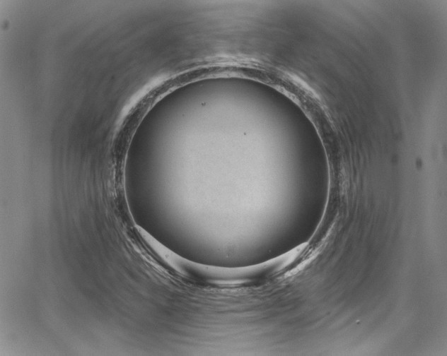 X0000068271310200604211100