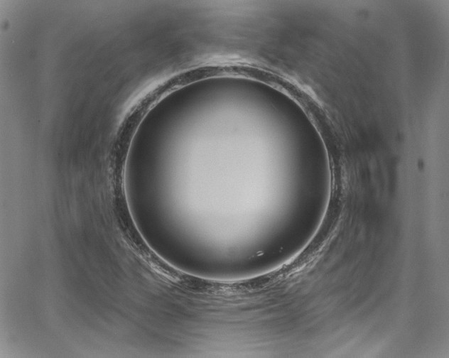 X0000068271311200604211100