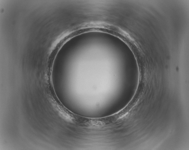 X0000068271312200604211100