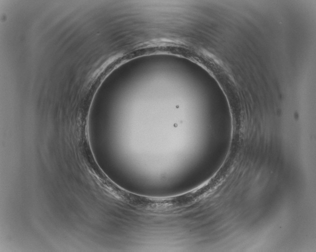 X0000068271313200604211100