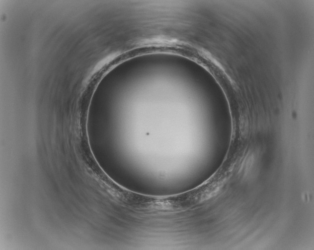 X0000068271315200604211100