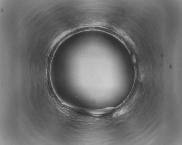 X0000068271316200604211100