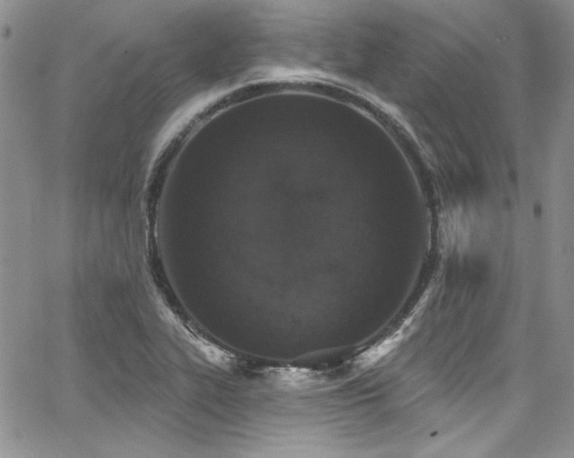 X0000068271319200604211100