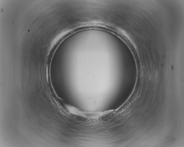 X0000068271320200604211100