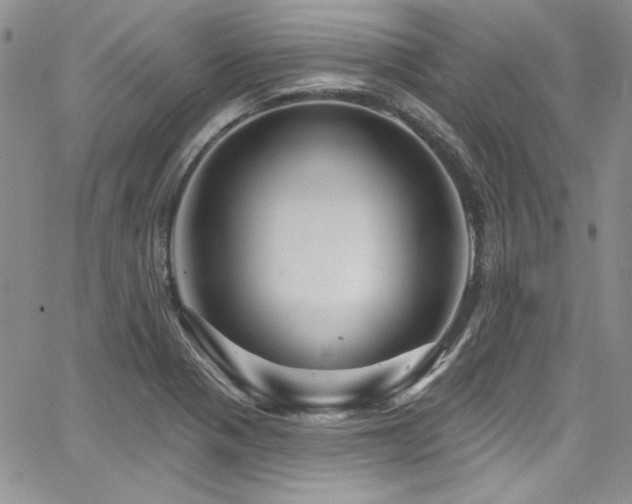 X0000068271321200604211100