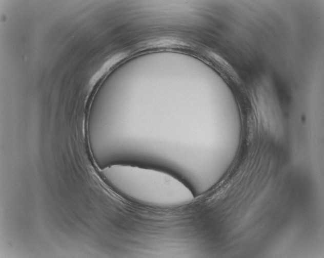 X0000068271322200604211100