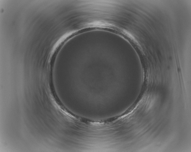 X0000068271323200604211100