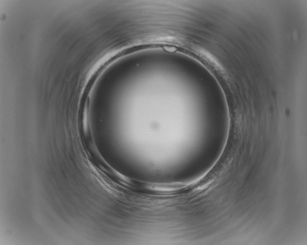 X0000068271324200604211100