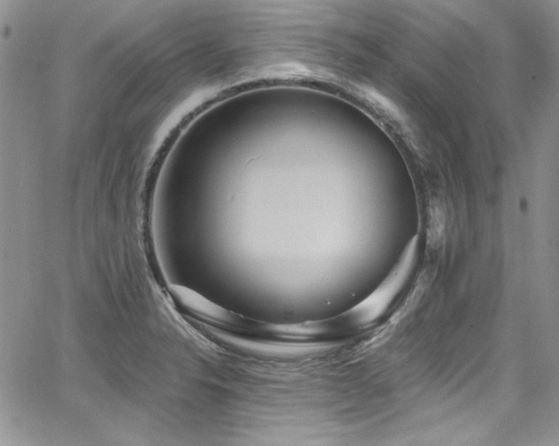 X0000068271326200604211100