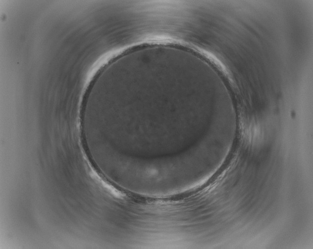 X0000068271327200604211100