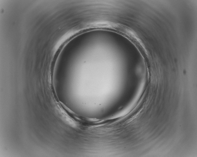 X0000068271328200604211100