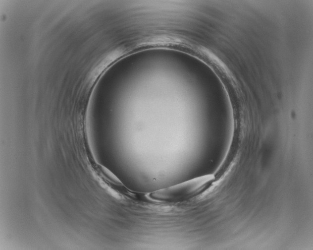 X0000068271329200604211100