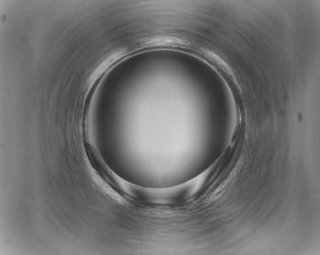 X0000068271330200604211100