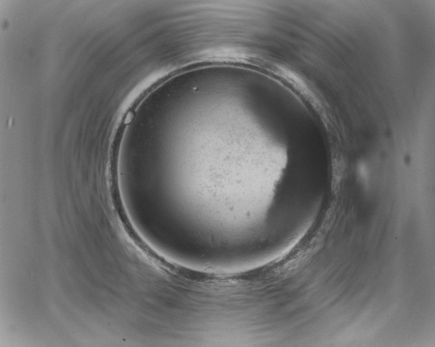 X0000068271331200604211100