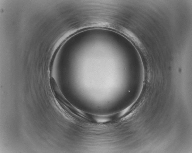 X0000068271332200604211100