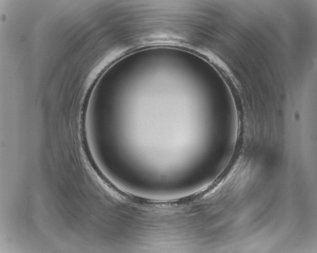 X0000068271333200604211100