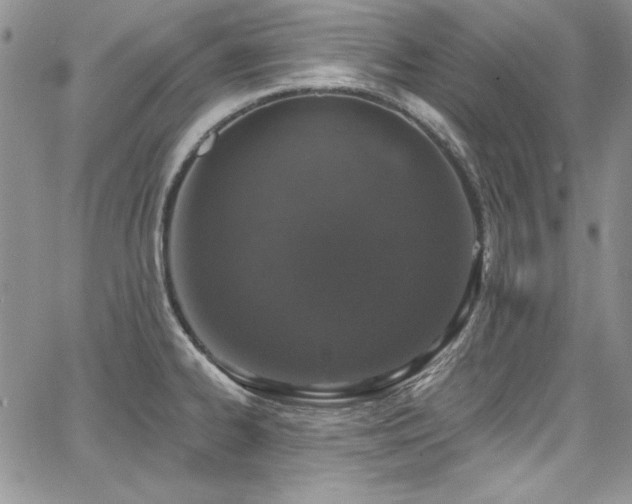 X0000068271334200604211100