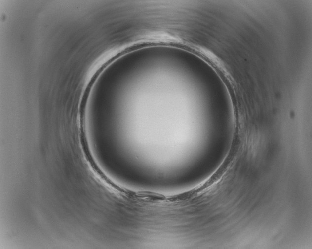 X0000068271335200604211100