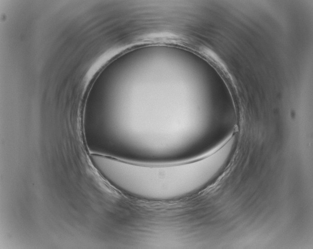 X0000068271336200604211100