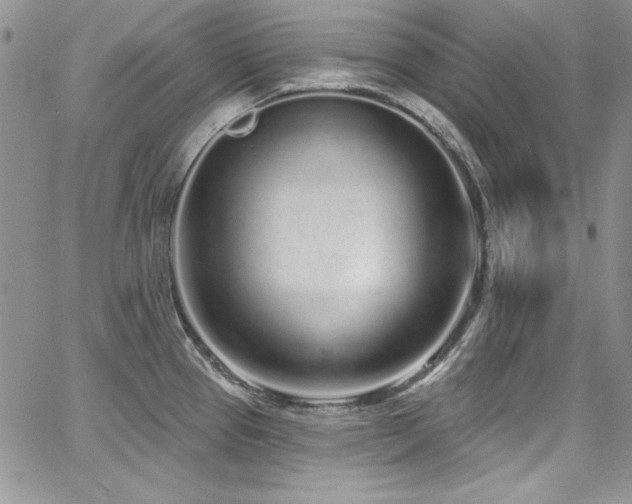 X0000068271337200604211100