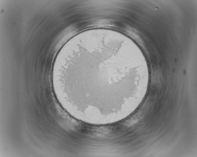 X0000068271338200604211100