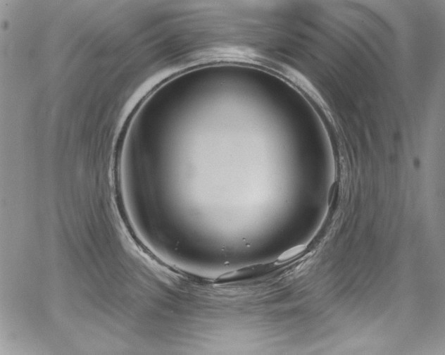 X0000068271339200604211100