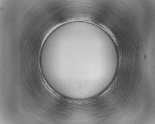 X0000068271340200604211100