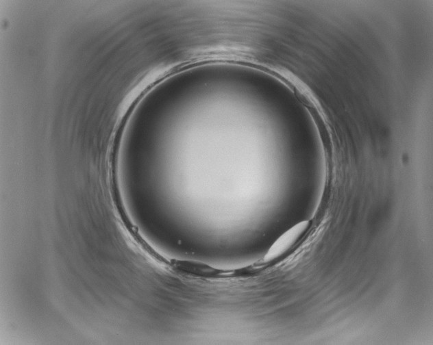 X0000068271341200604211100