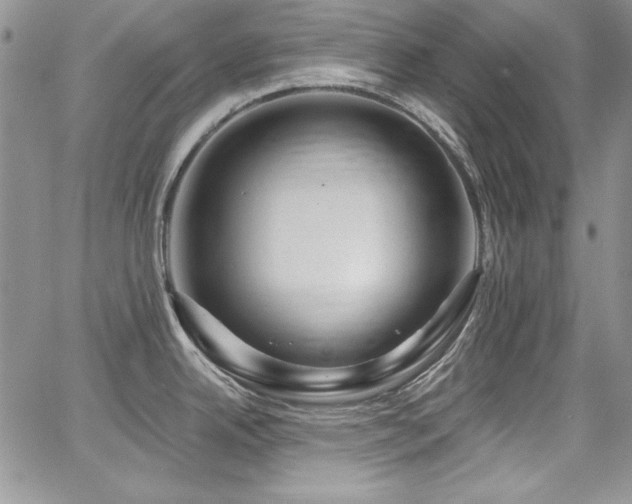 X0000068271342200604211100