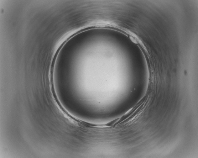 X0000068271343200604211100