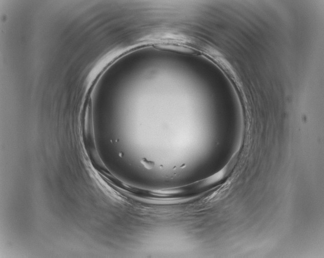 X0000068271344200604211100