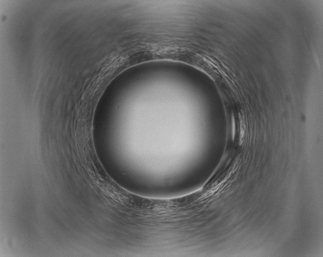 X0000068271345200604211100