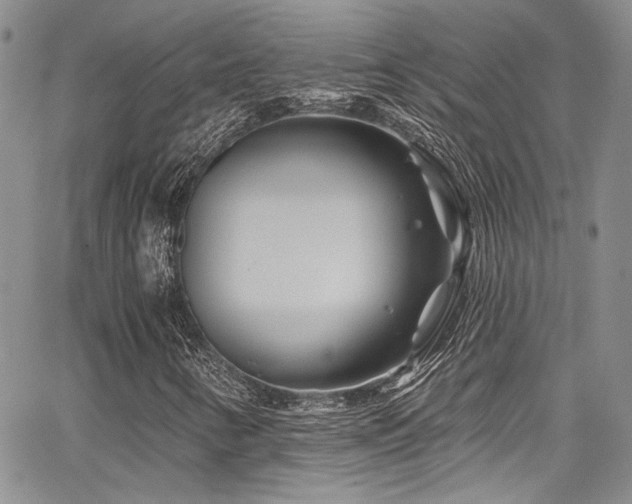 X0000068271346200604211100