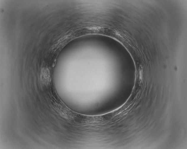 X0000068271347200604211100