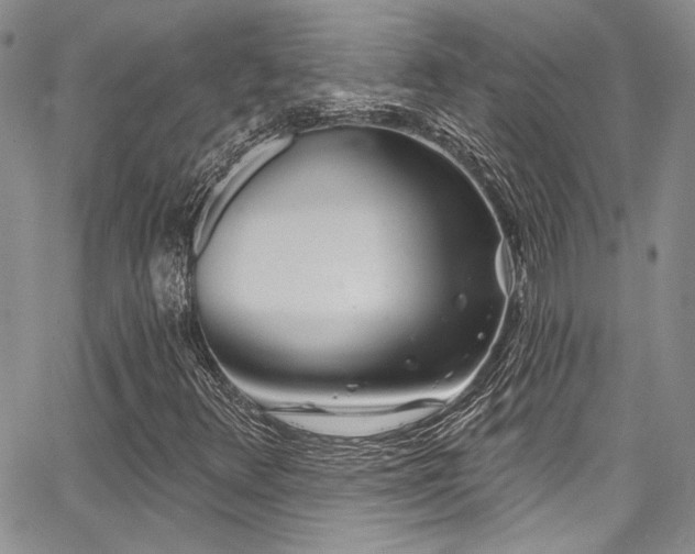 X0000068271348200604211100