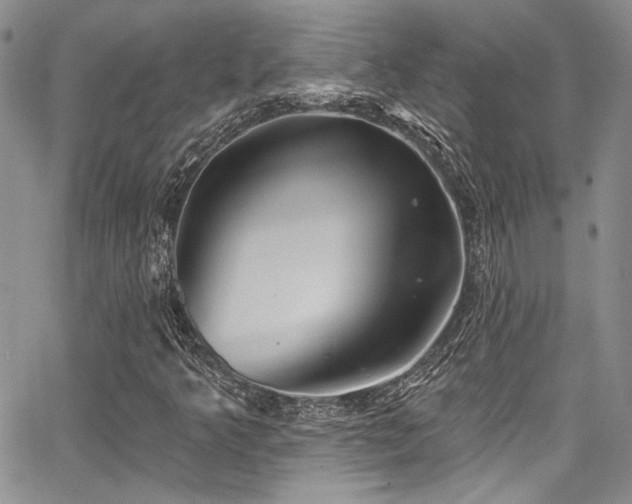 X0000068271349200604211100