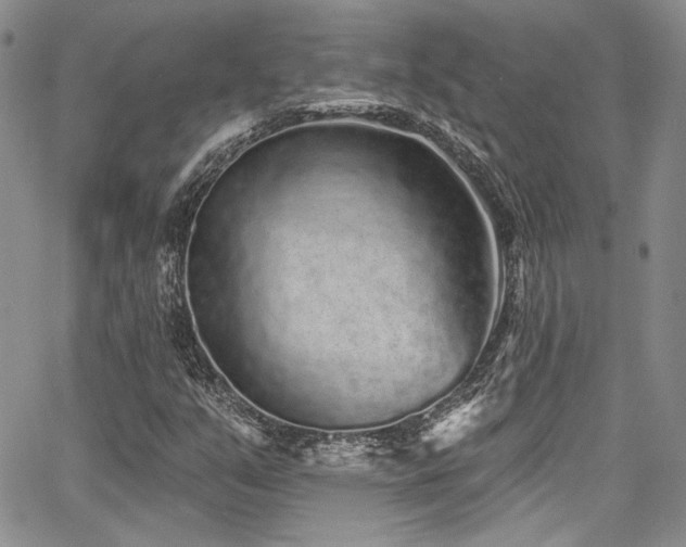 X0000068271351200604211059