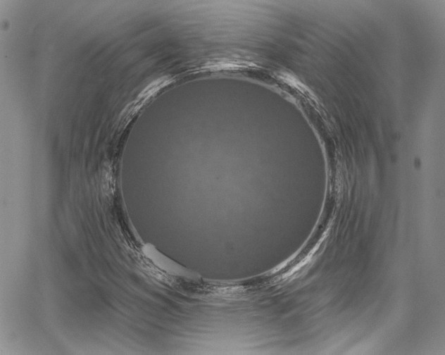 X0000068271353200604211059